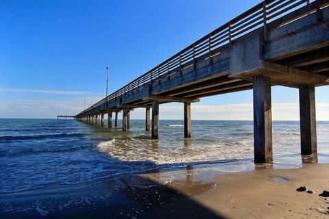 Beachhead 503