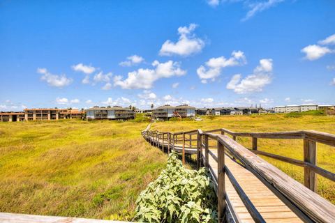 Beachhead 503