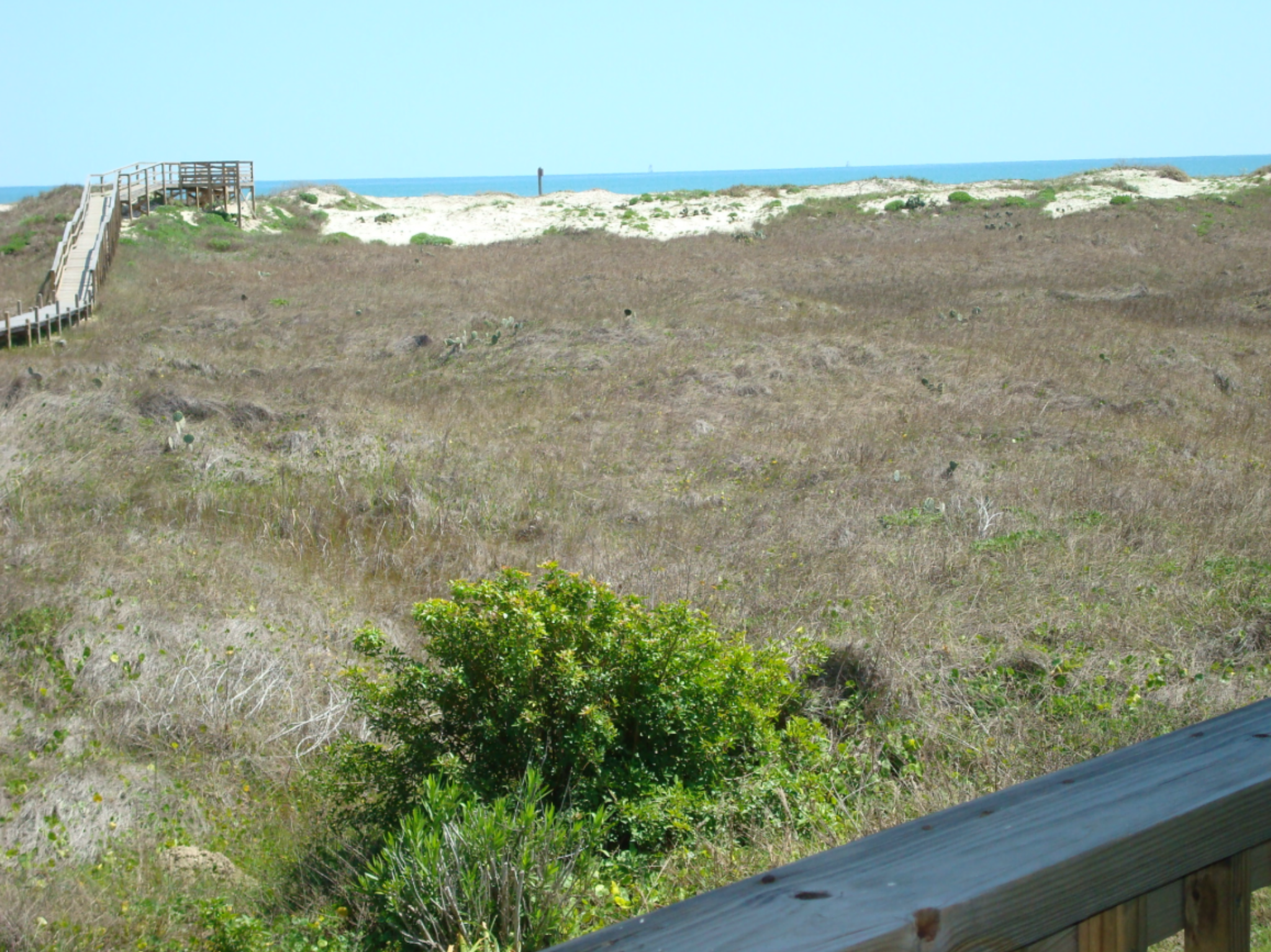 Beach view at Beachhead